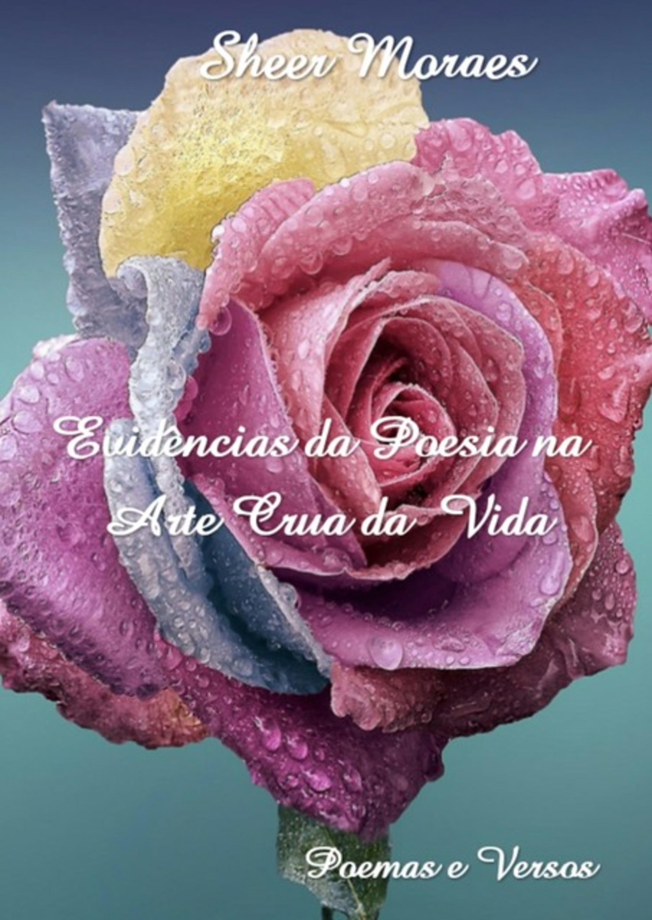 Evidências Da Poesia Na Arte Crua Da Vida