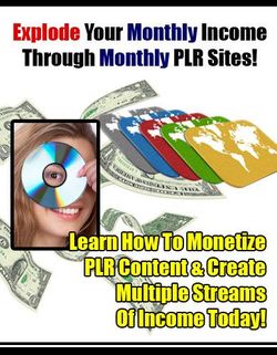Explode Your Monthly Income Through Monthly PLR Sites! 