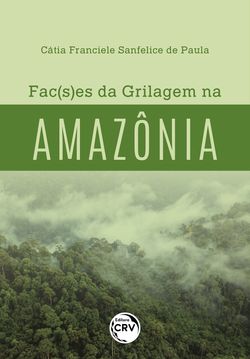 Fac(s)es da grilagem na amazônia