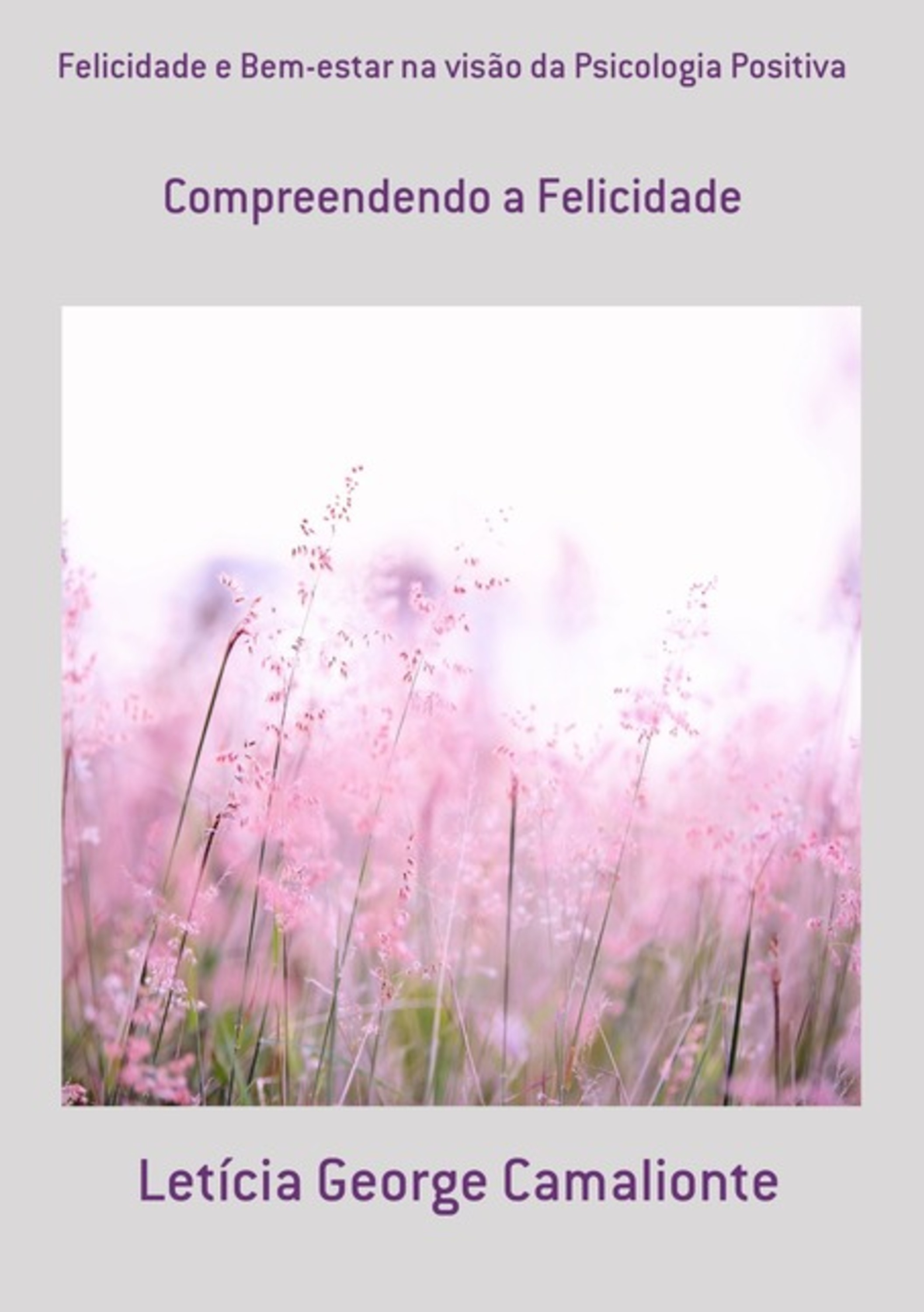 Felicidade E Bem-estar Na Visão Da Psicologia Positiva