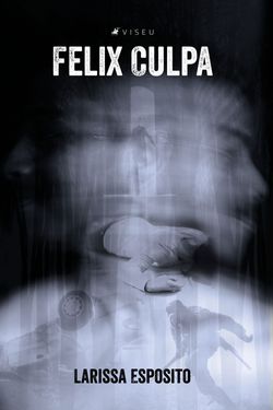 Felix Culpa