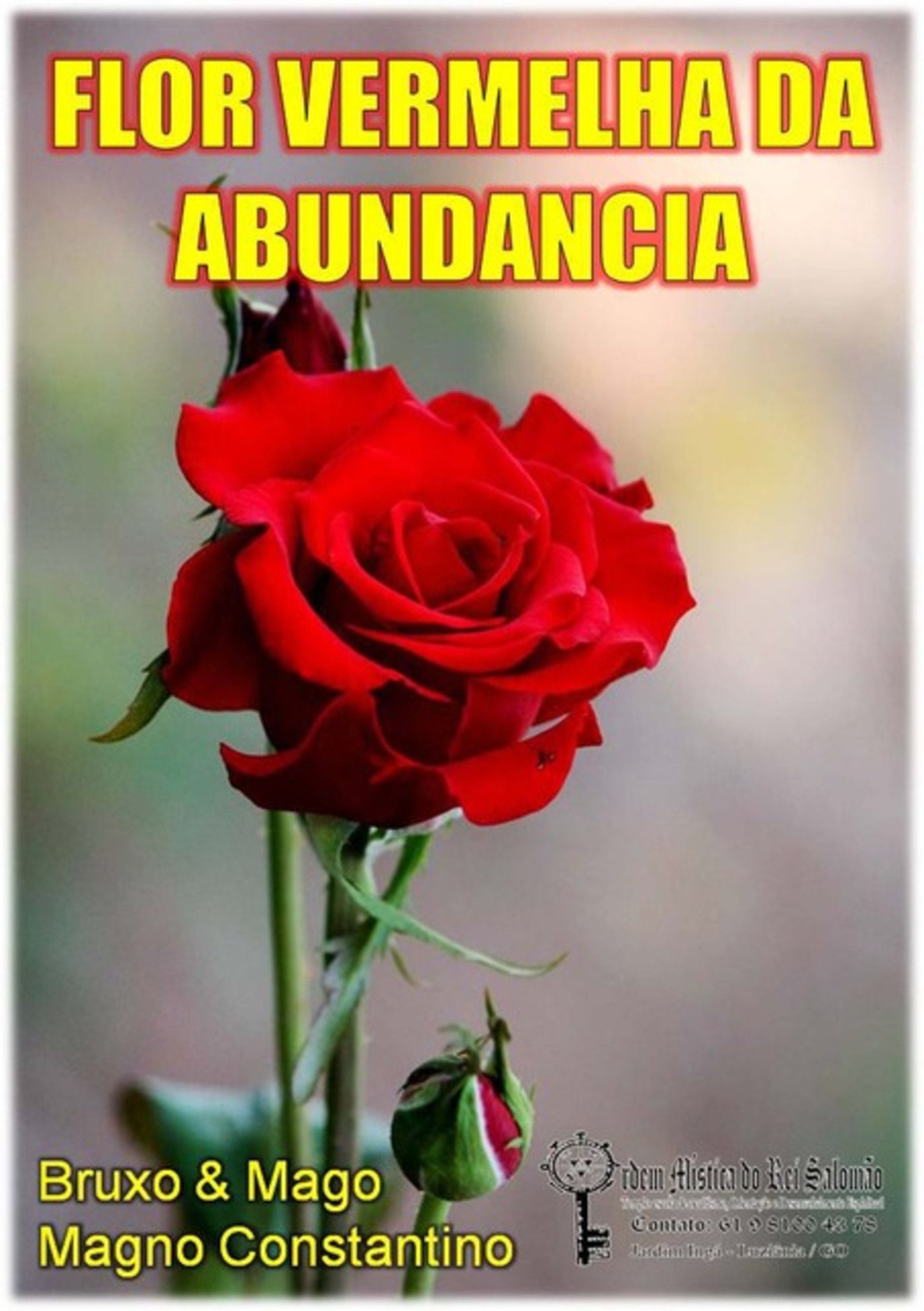 Flor Vermelha Da Abudancia