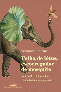 Folha de lótus, escorregador de mosquito