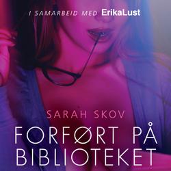 Forført på biblioteket - en erotisk novelle