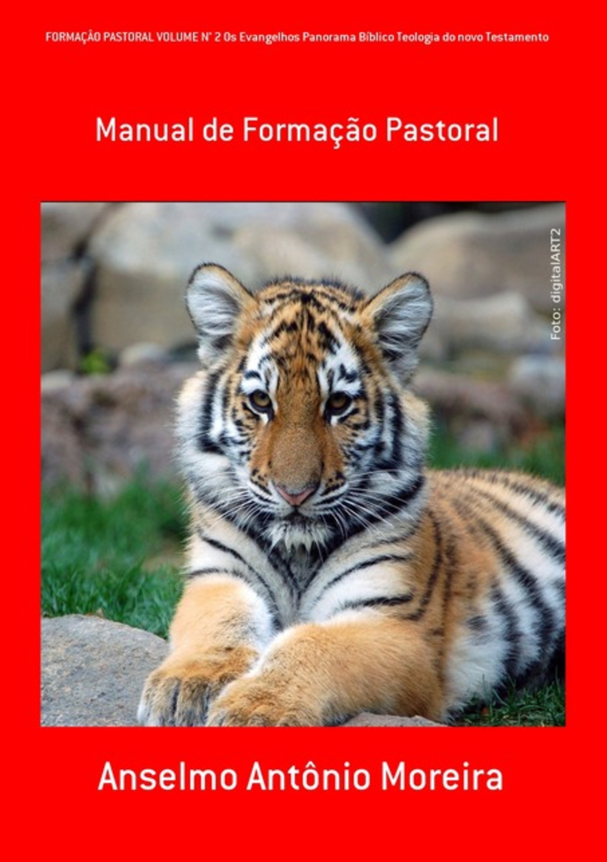 Formaçâo Pastoral Volume N° 2 Os Evangelhos Panorama Bíblico Teologia Do Novo Testamento