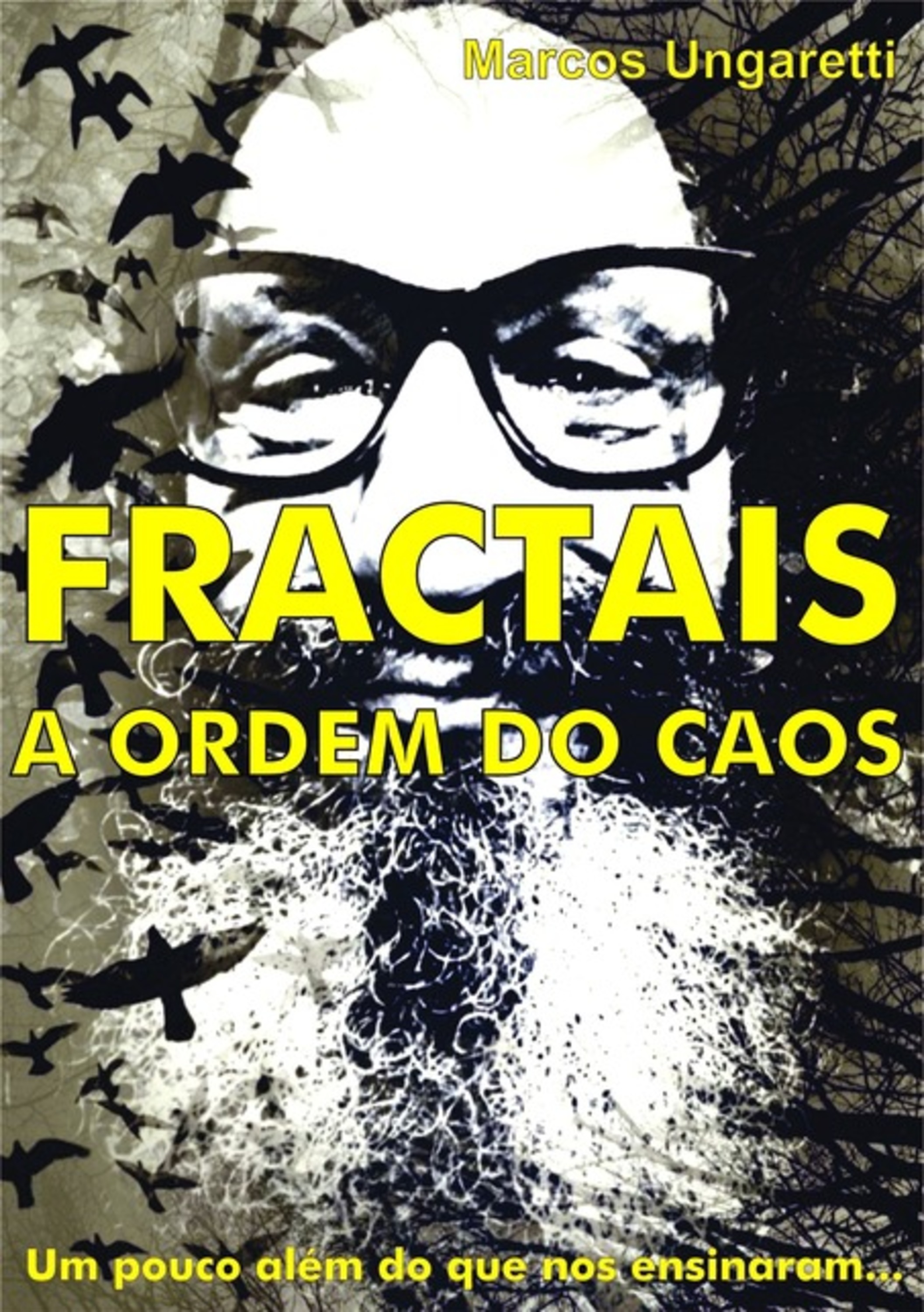 Fractais: A Ordem Do Caos