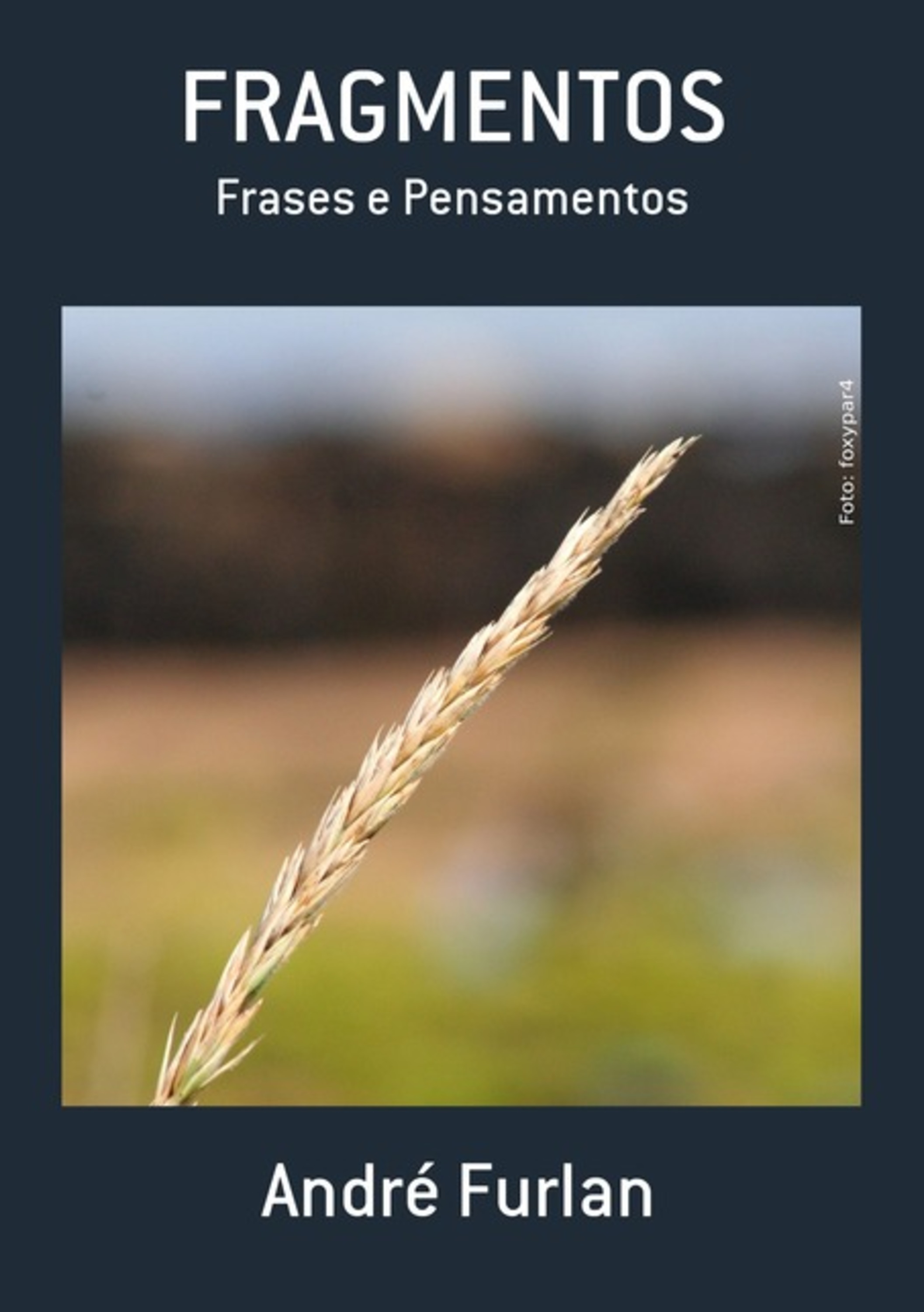 Fragmentos