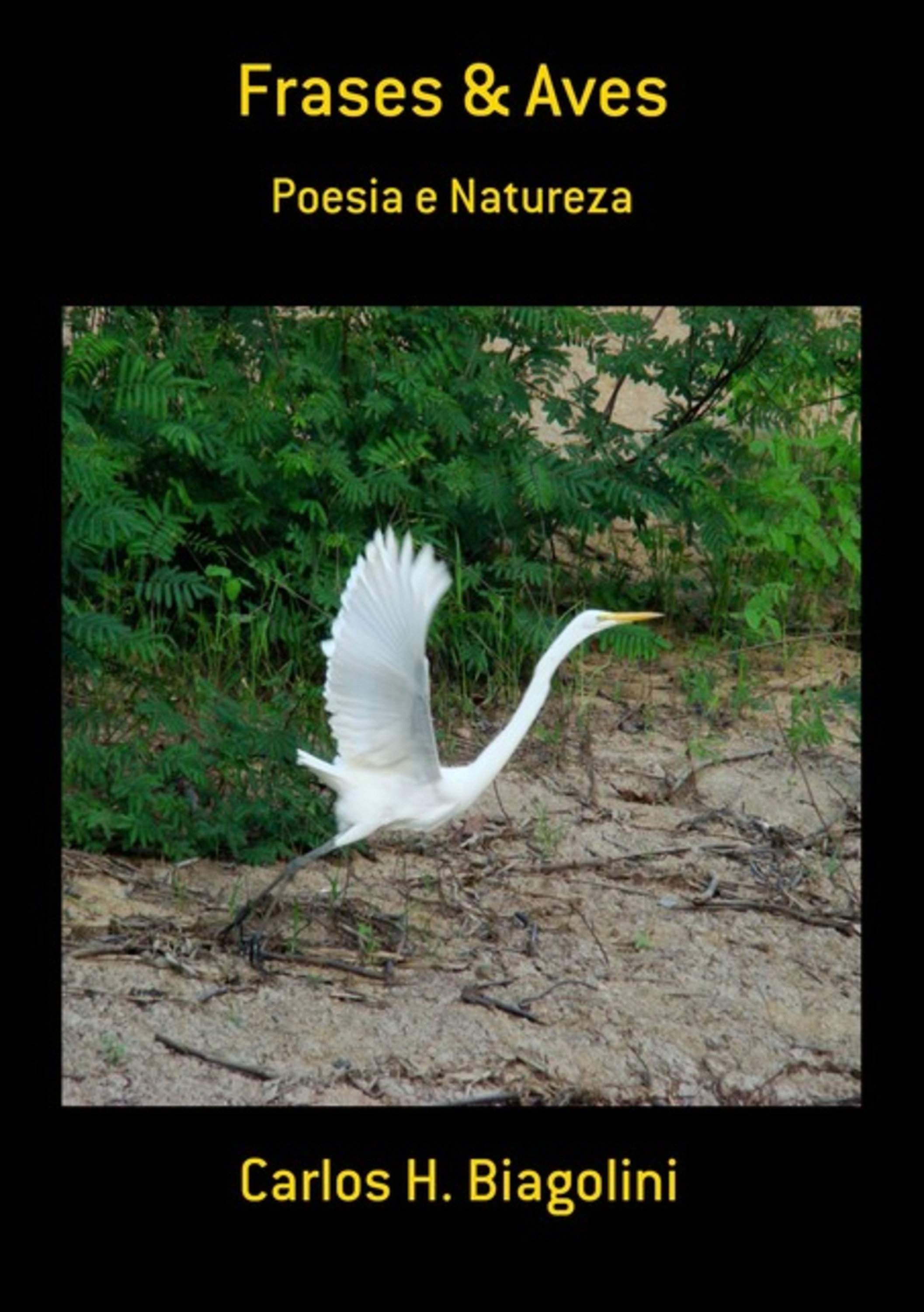 Frases & Aves