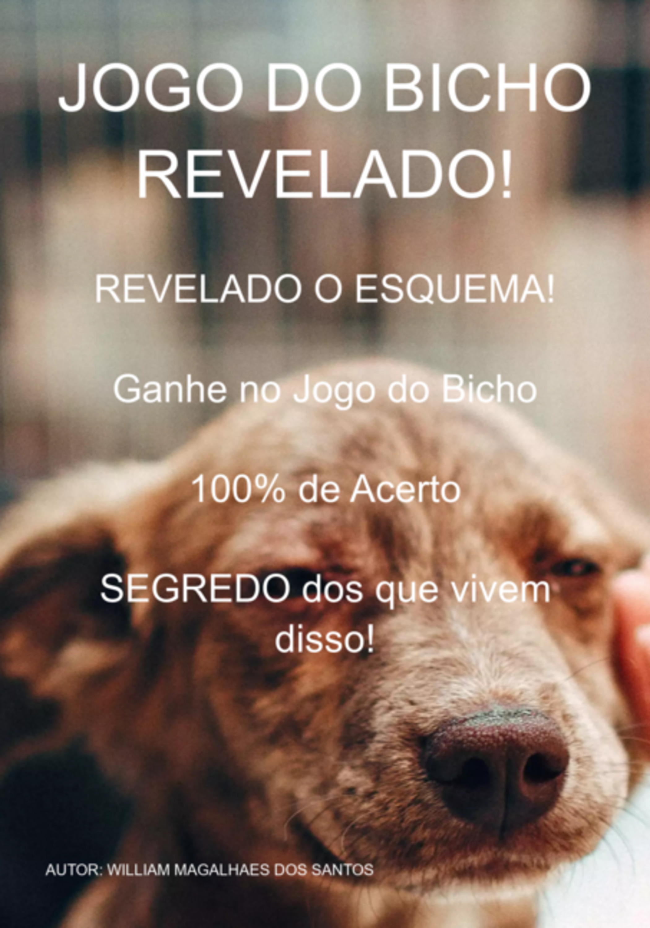 Ganhar Dinheiro Com Jogo Do Bicho