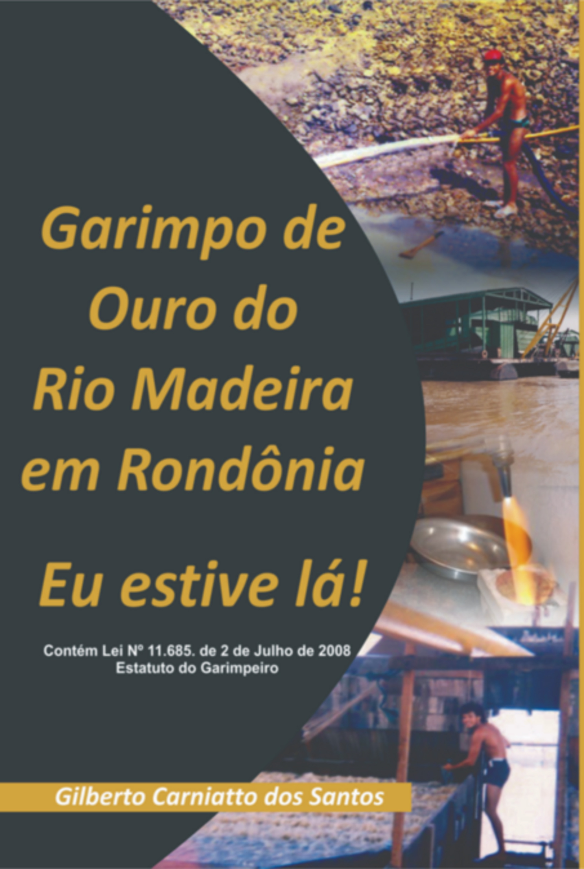 Garimpo De Ouro Do Rio Madeira Em Rondônia