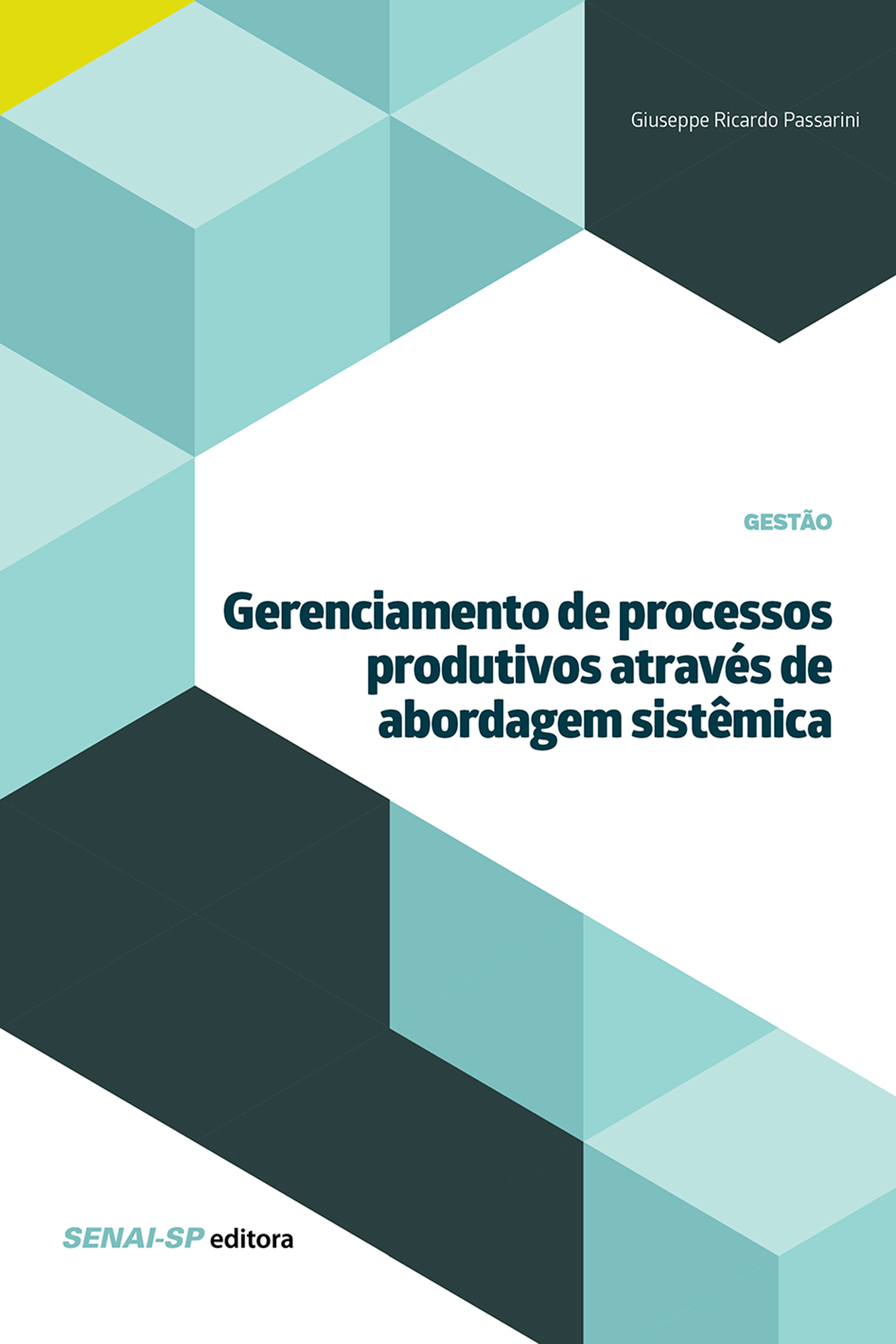 Gerenciamento de processos produtivos através de abordagem sistêmica