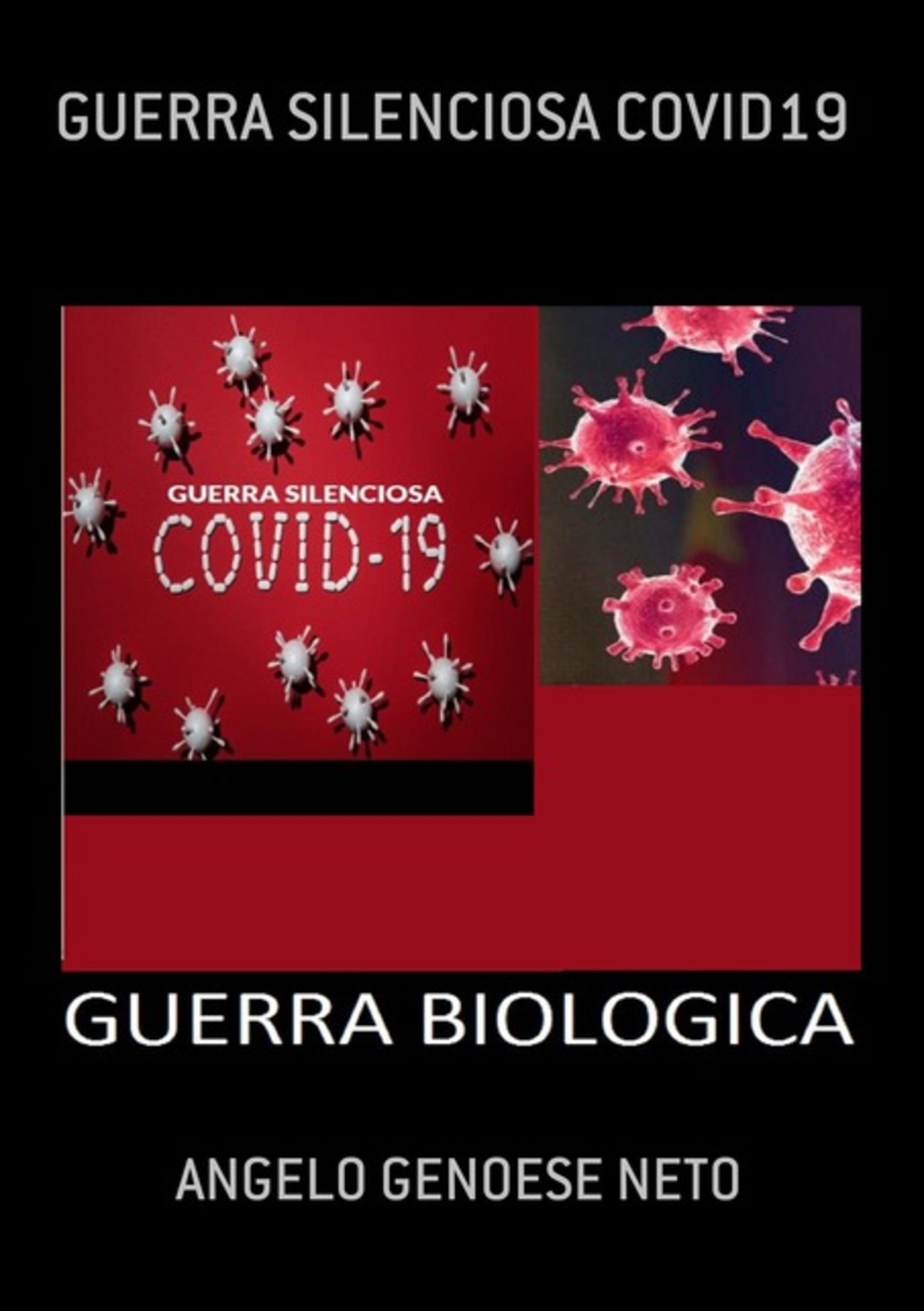 Guerra Silenciosa Covid19