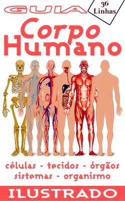 Guia 36 - Corpo Humano