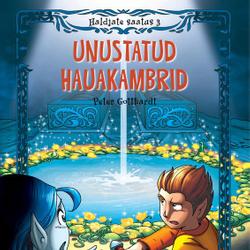 Haldjate saatus 3: Unustatud hauakambrid