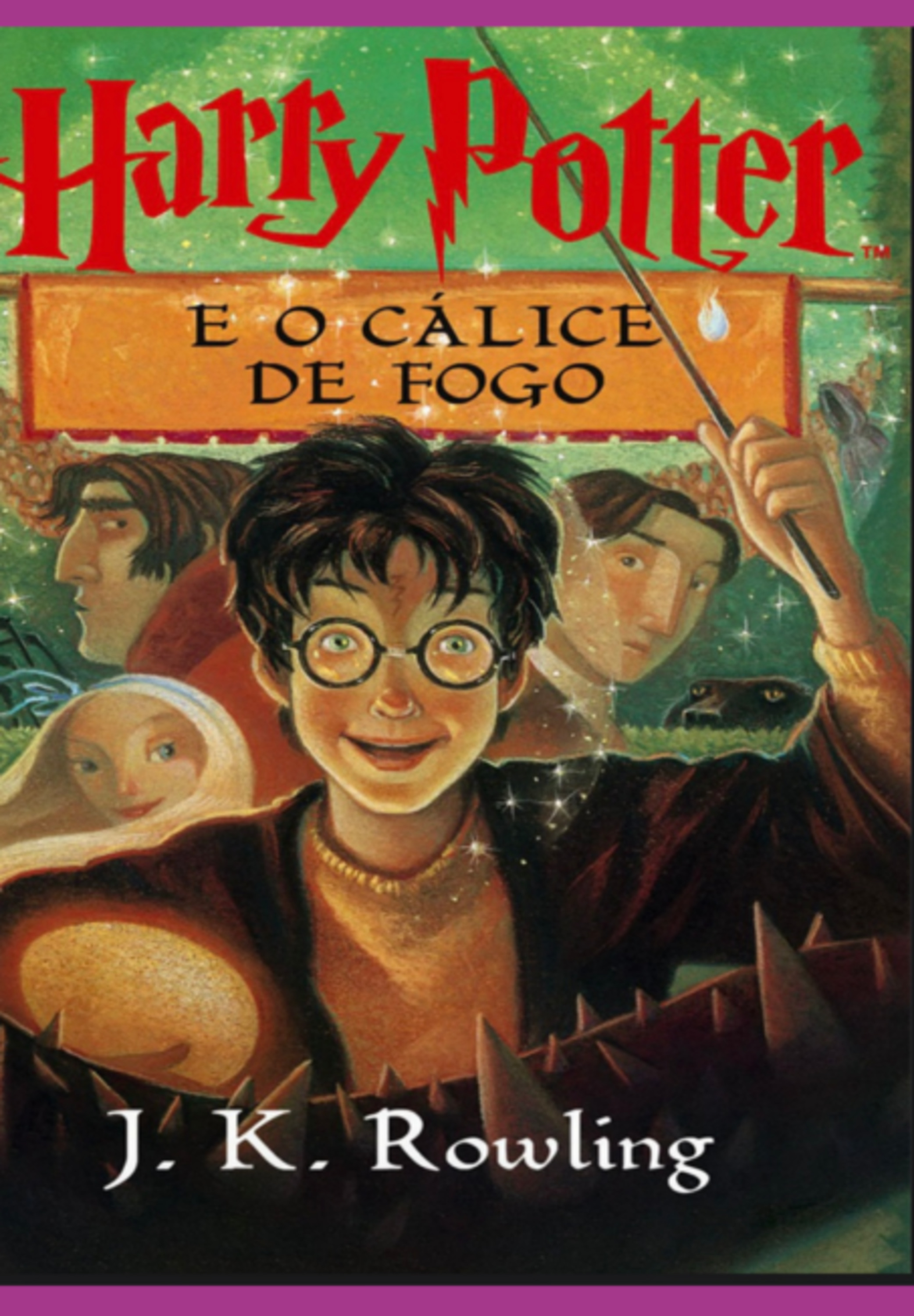 Harry Potter E O Cálice De Fogo