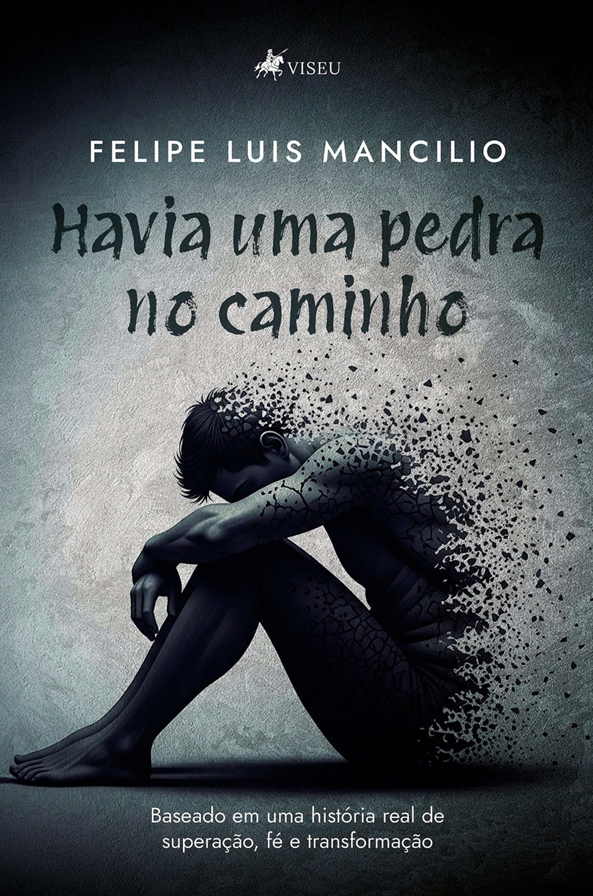 Havia uma pedra no caminho