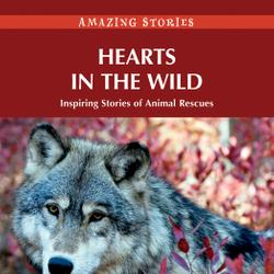 Hearts in the Wild