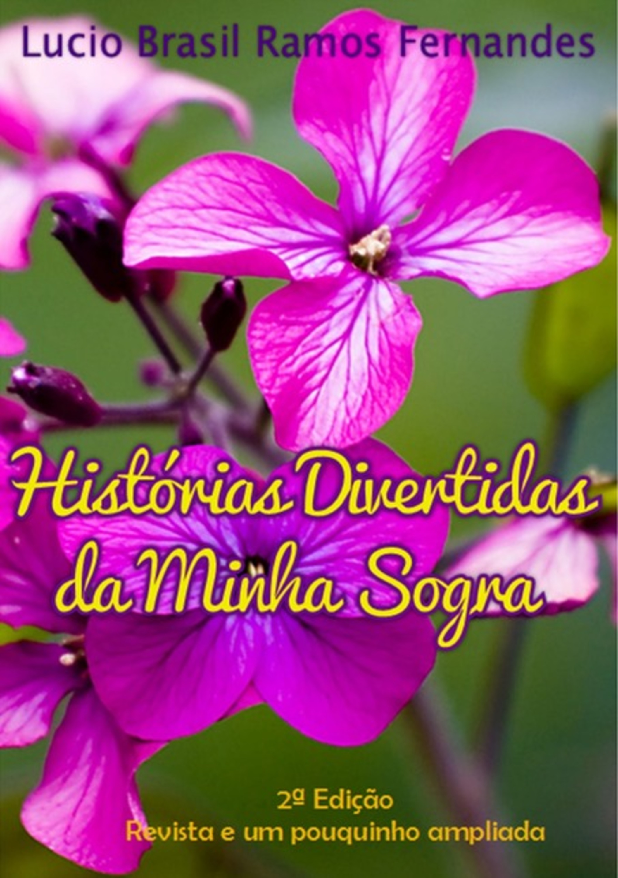 Histórias Divertidas Da Minha Sogra