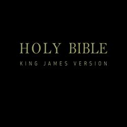 Holy Bible - King James Version - New & Old Testaments: E-Reader Formatted KJV w/ Easy Navigation (ILLUSTRATED)