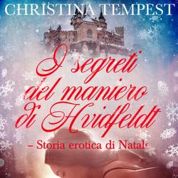 I segreti del maniero di Hvidfeldt - Storia erotica di Natale