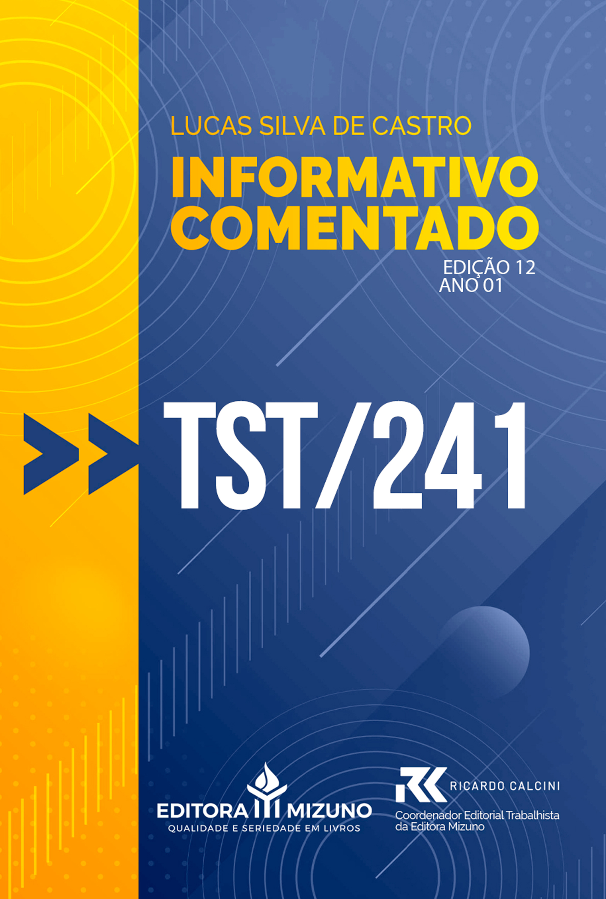 Informativo Comentado - TST 241