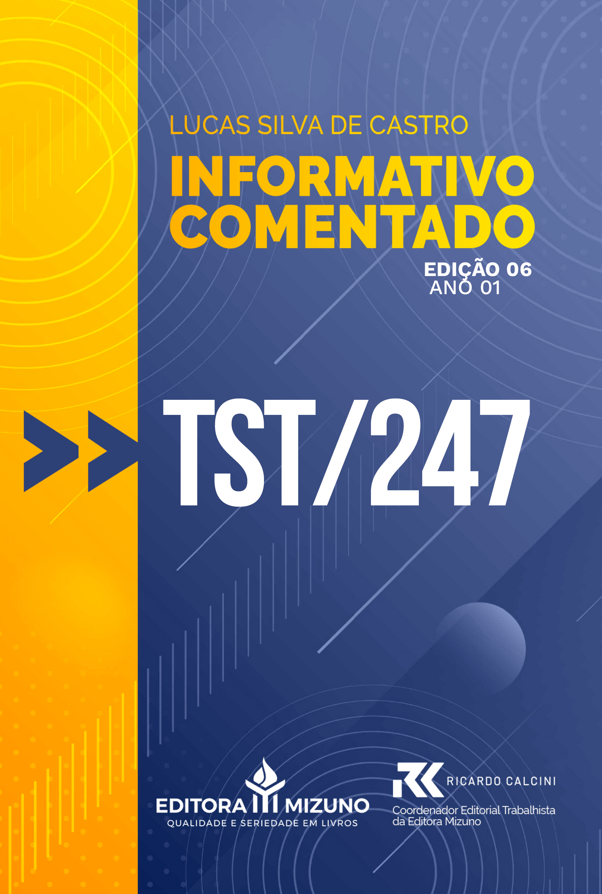 Informativo Comentado - TST 247