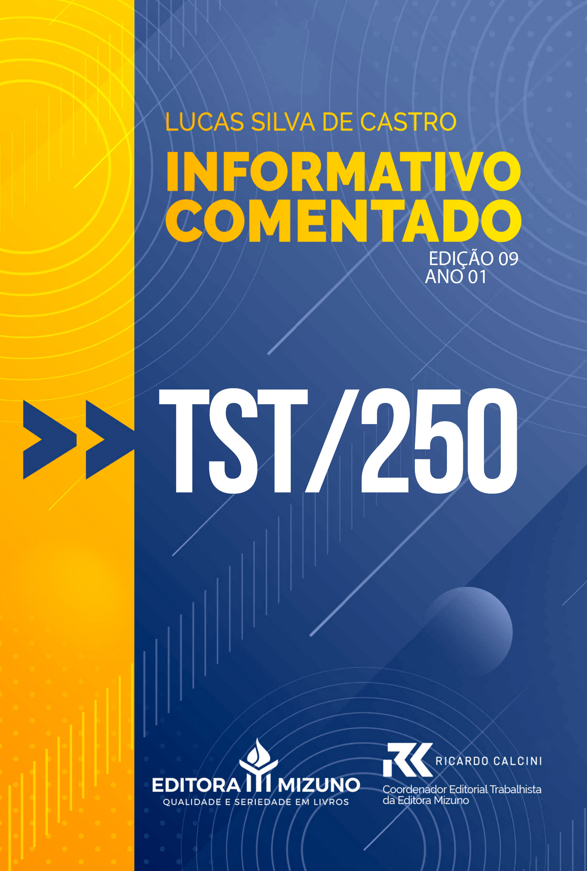 Informativo Comentado - TST 250