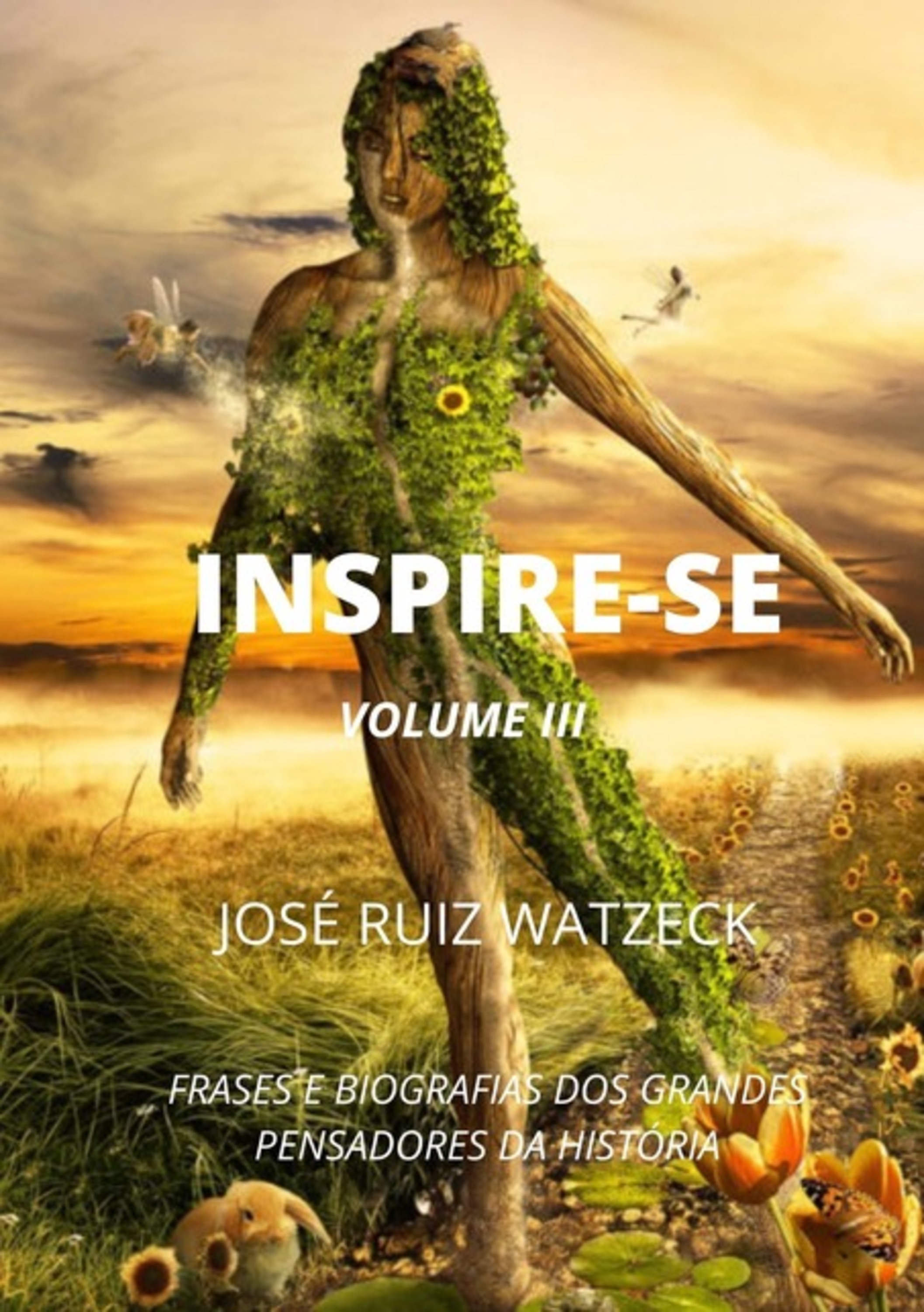 Inspire-se (volume Iii)