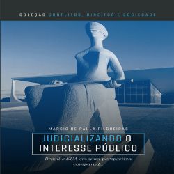 Judicializando o interesse público