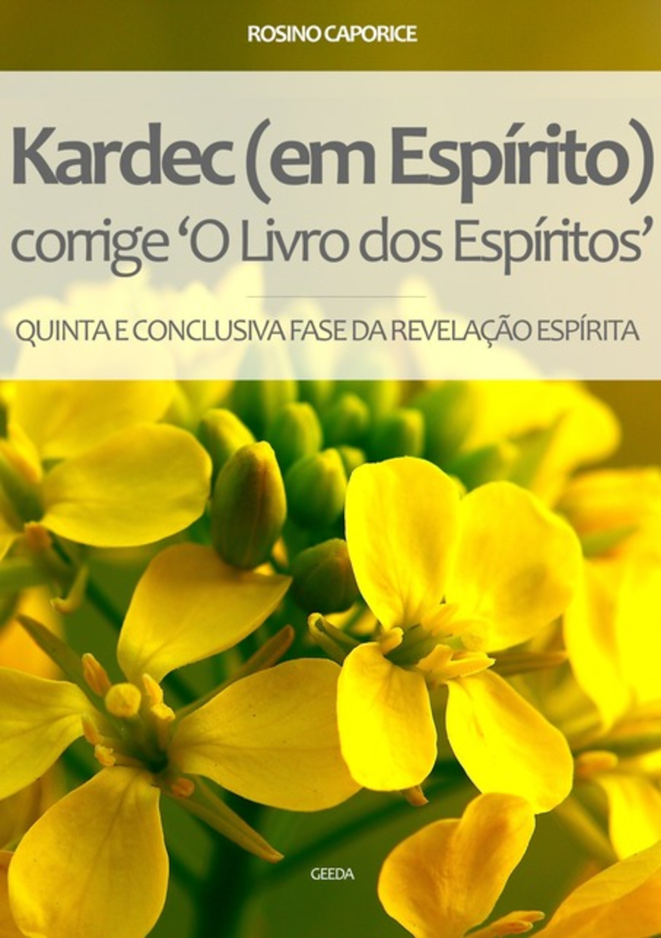 Kardec (em Espírito) Corrige 