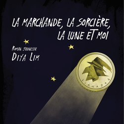 La marchande, la sorcière, la lune et moi