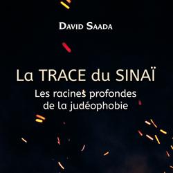 La trace du Sinaï