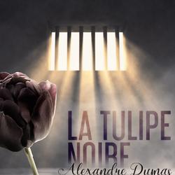 La Tulipe noire