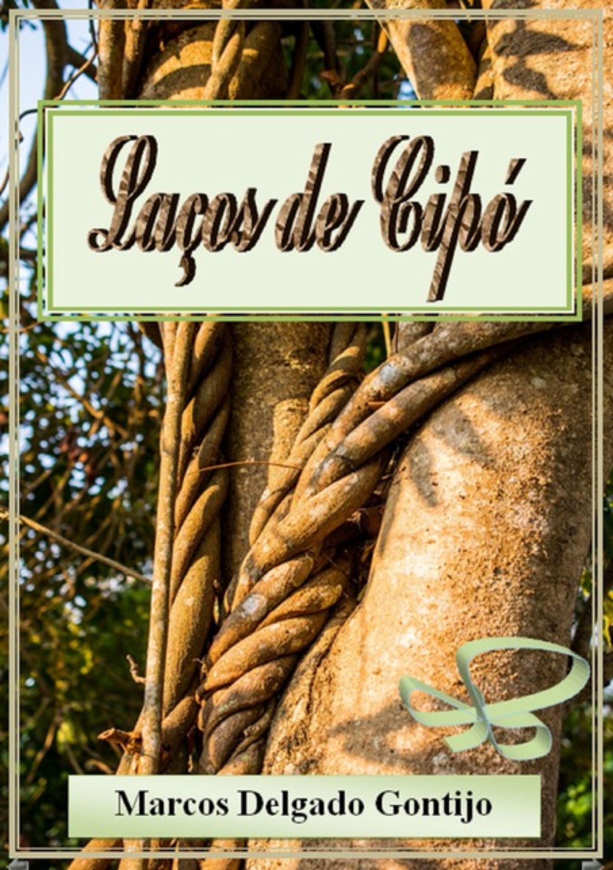 Laços De Cipó