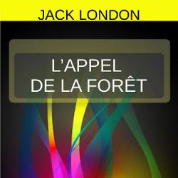 L'APPEL DE LA FORÊT