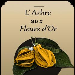 L'arbre aux fleurs d'or