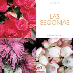 Las begonias