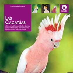 Las cacatúas: Cómo elegirlas, cuidados diarios, comportamiento, alimentación, reproducción, exposiciones…