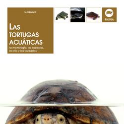 Las tortugas acuáticas