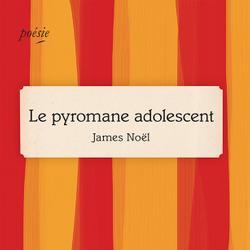 Le pyromane adolescent