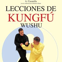 Lecciones de Kung Fu