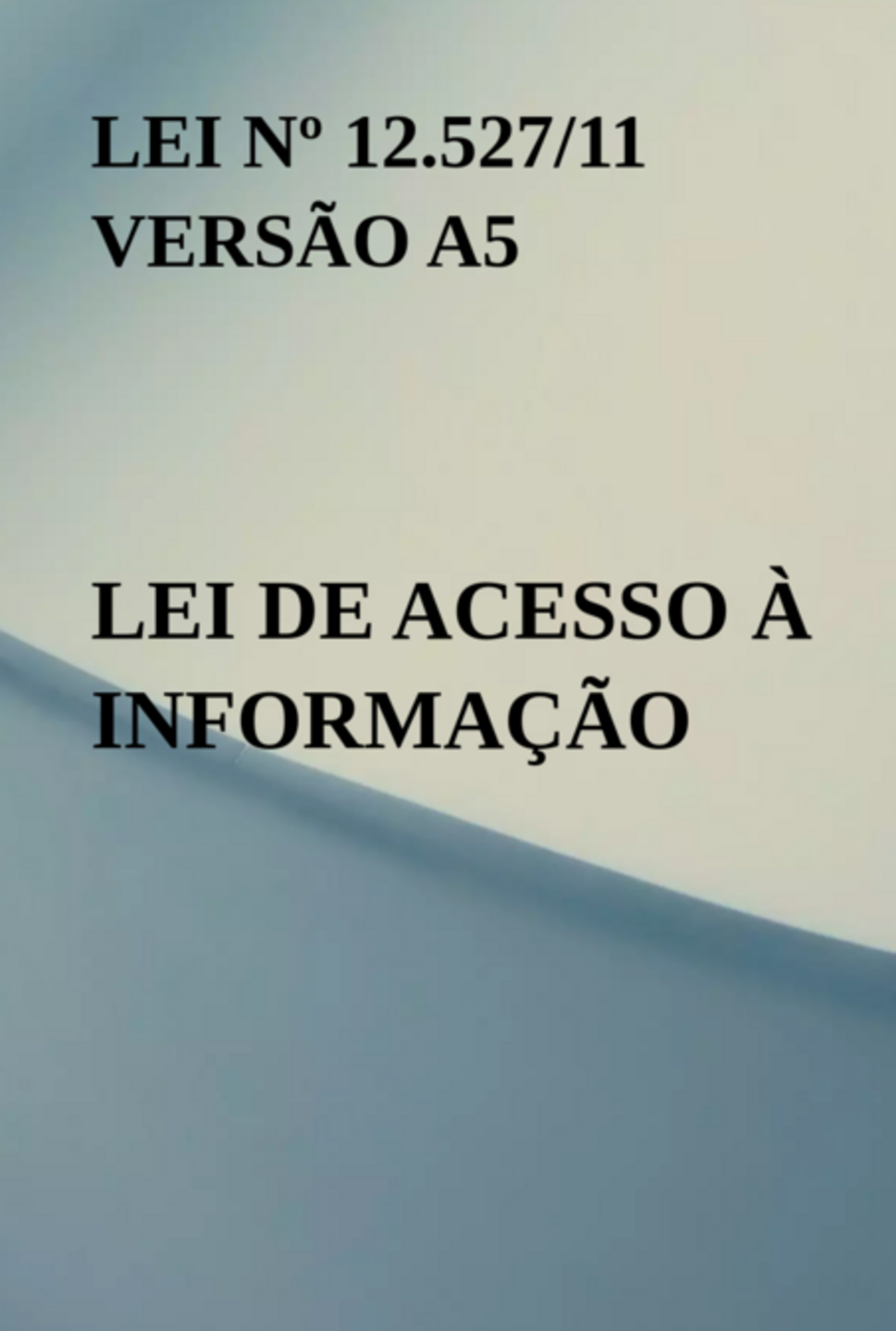 Lei Nº 12.527/11 Versão A5