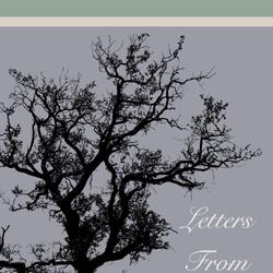 Letters From Languedoc