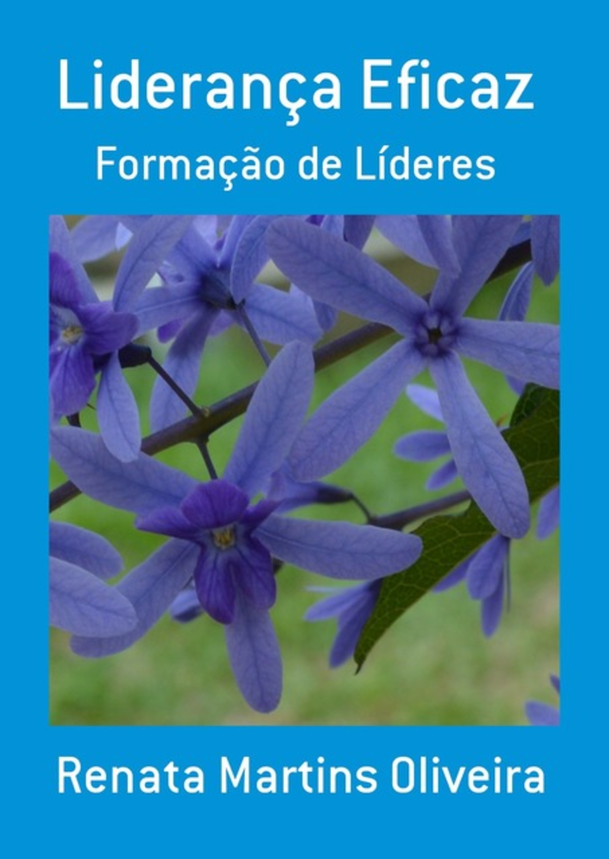 Liderança Eficaz