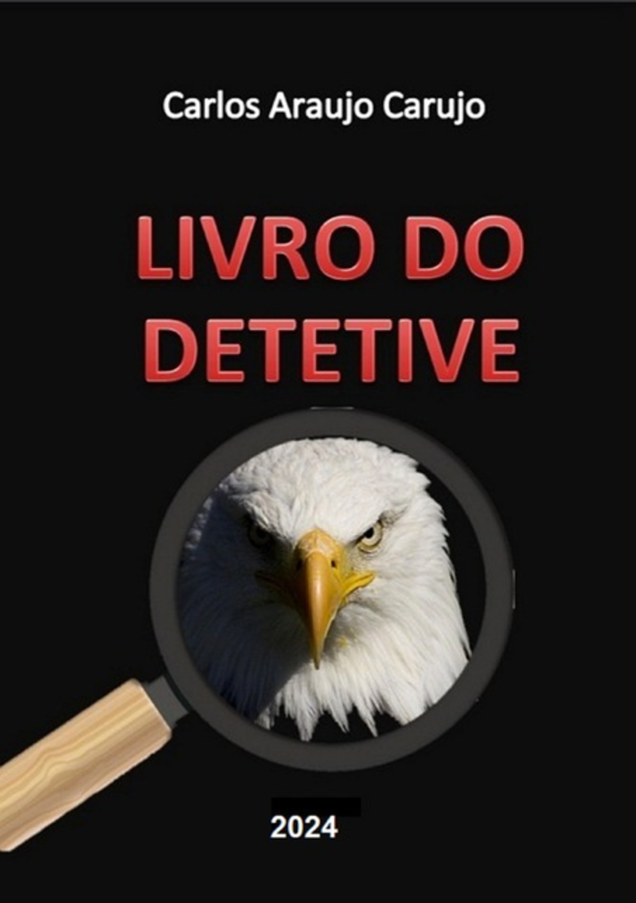 Livro Do Detetive