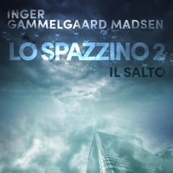 Lo spazzino 2: Il salto