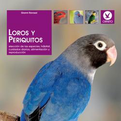 Loros y periquitos