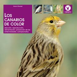 Los canarios de color