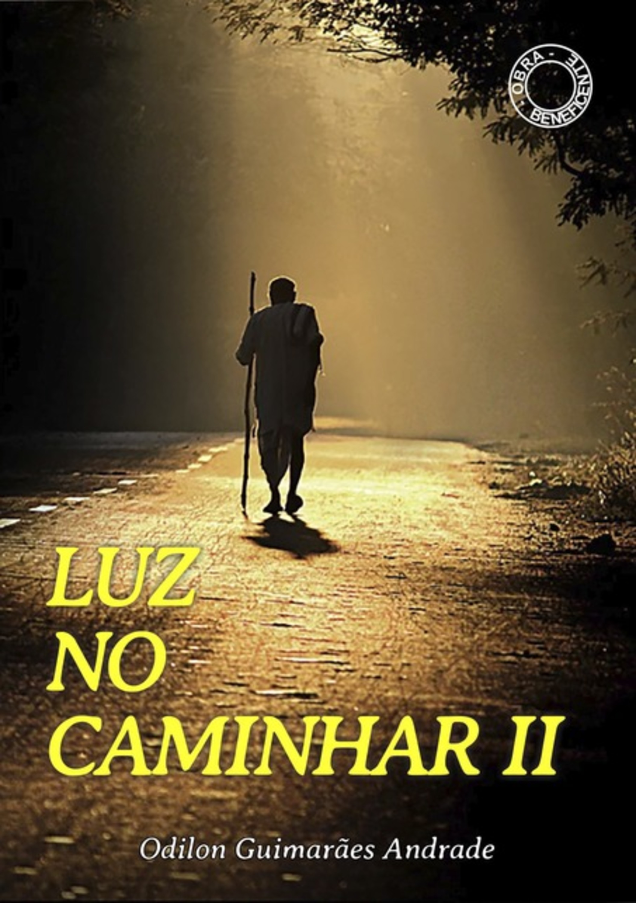 Luz No Caminhar Ii