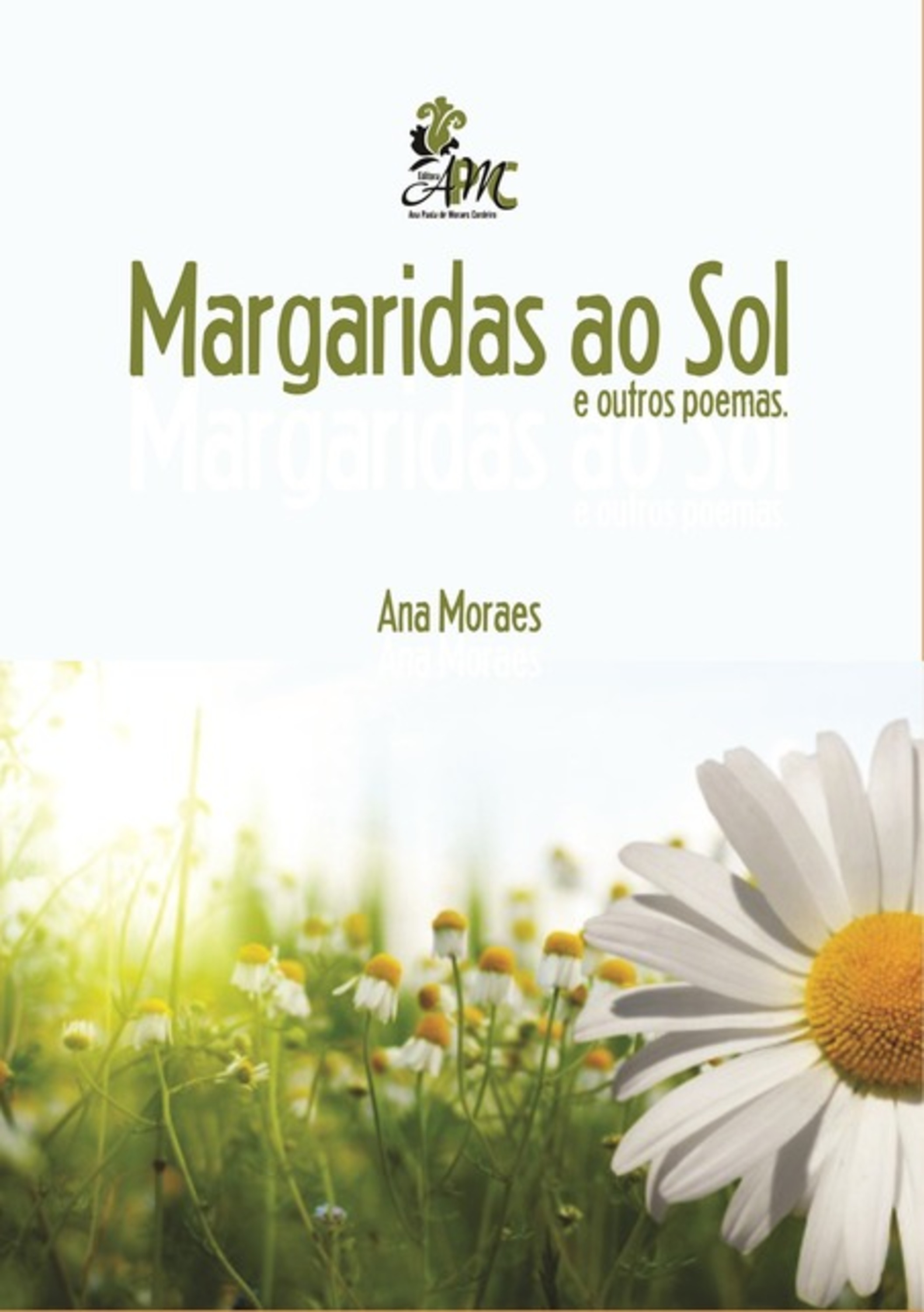 Margaridas Ao Sol